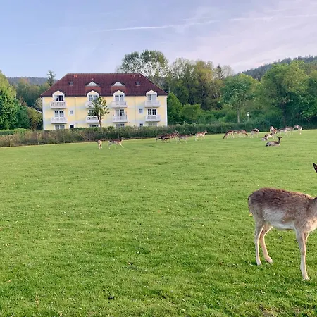 Lägenhet Lindners Hideaways - Gutshof Pine Retreat - Blick Ins Gruene - Sauna - In - Terrasse - Garten Mit Rehgehege - Fruehstueck - - Arber - Osser - Bis 5 Pers *