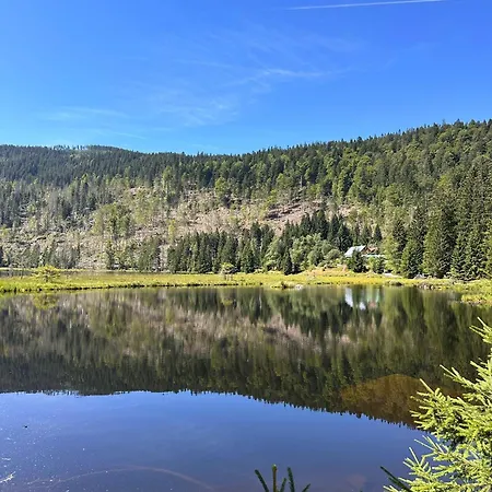 شقة Lindners Hideaways - Gutshof Pine Retreat - Blick Ins Gruene - Sauna - In - Terrasse - Garten Mit Rehgehege - Fruehstueck - - Arber - Osser - Bis 5 Pers