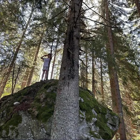 Lindners Hideaways - Gutshof Pine Retreat - Blick Ins Gruene - Sauna - In - Terrasse - Garten Mit Rehgehege - Fruehstueck - - Arber - Osser - Bis 5 Pers شقة *