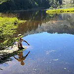 Lindners Hideaways - Gutshof Pine Retreat - Blick Ins Gruene - Sauna - In - Terrasse - Garten Mit Rehgehege - Fruehstueck - - Arber - Osser - Bis 5 Pers *