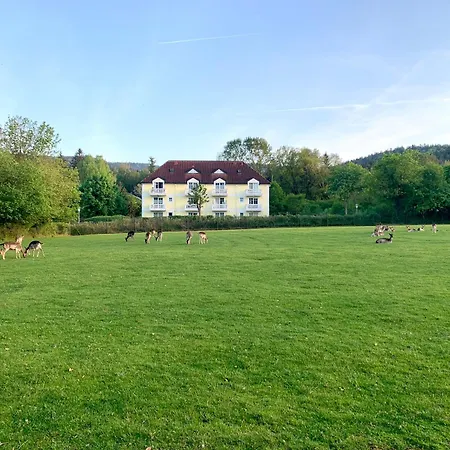 Lindners Hideaways - Gutshof Pine Retreat - Blick Ins Gruene - Sauna - In - Terrasse - Garten Mit Rehgehege - Fruehstueck - - Arber - Osser - Bis 5 Pers Apartment Hohenwarth